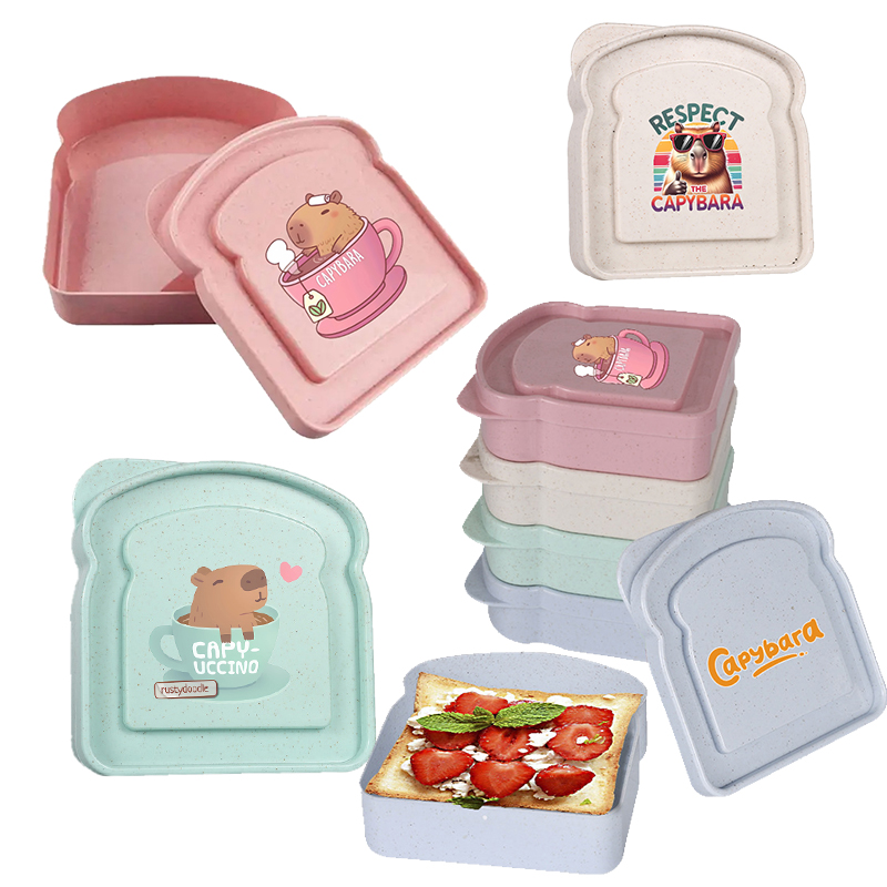 Food Snacks Box - 카피바라 샌드위치 음식 보관 케이스 컨테이너