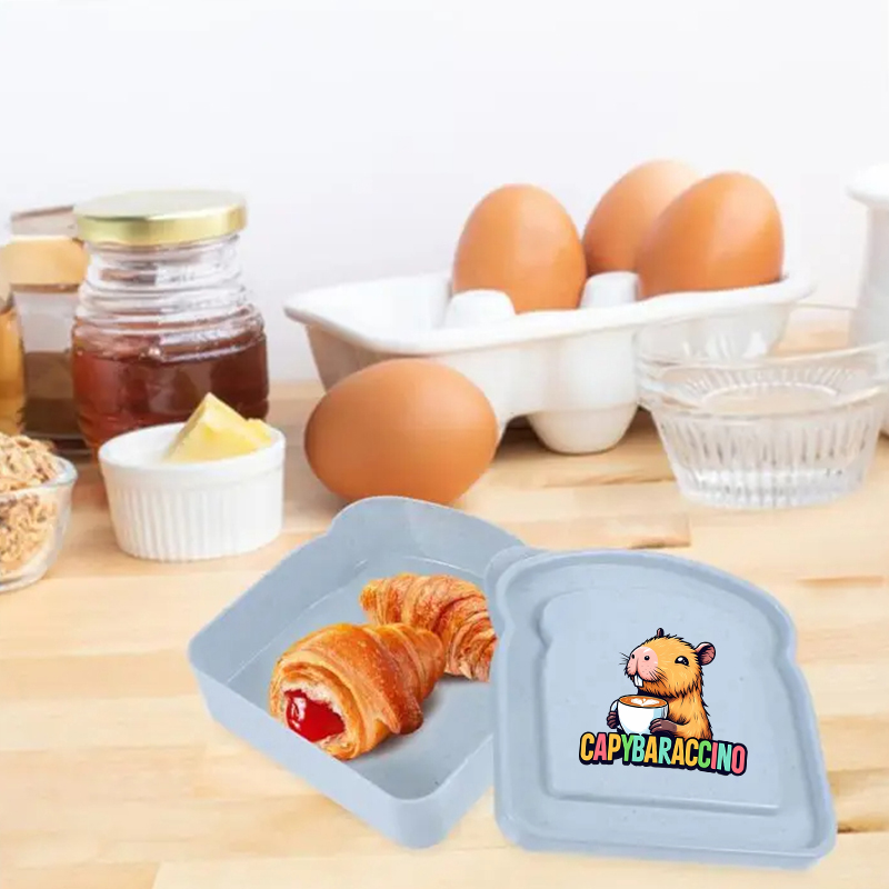 카피바라 샌드위치 음식 보관 케이스 컨테이너 샐러드 과 - Food Snacks Box 리뷰 및 가격