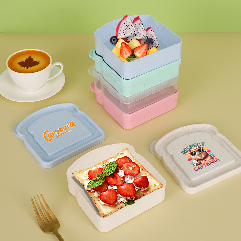 카피바라 샌드위치 음식 보관 케이스 컨테이너 샐러드 과 - Food Snacks Box 리뷰 및 가격